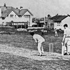 cricket65-66